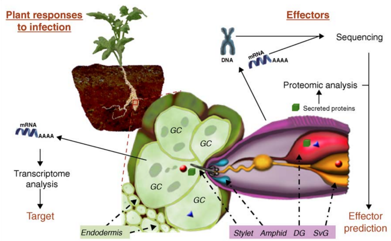 Publications | Briggs Lab